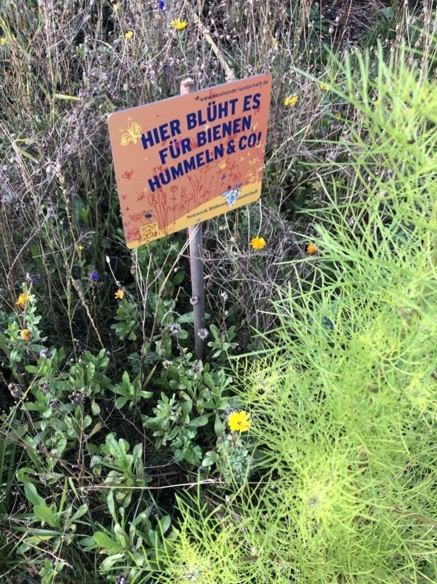 Meeresperle 2 Leuchtturm Klutz Exteriör bild